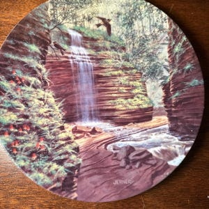 May include: Round decorative plate featuring a scenic waterfall landscape with birds in flight. The plate has a brown and red color palette with green foliage and the text "JERNER" on the bottom right.