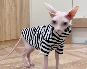 first aid for poisoning in dogs