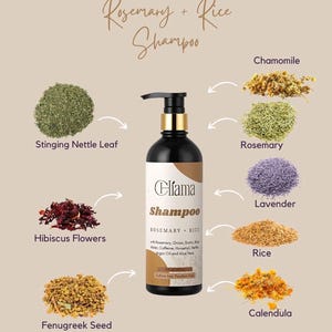 Rosemary + Rice Shampoo