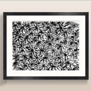 Poster drawn in Indian ink - Flowers - Poster A4/A3.