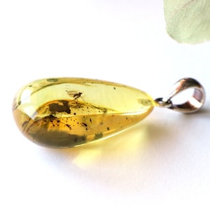Pendentif en ambre à inclusions, perle d&#39;ambre de la Baltique naturelle avec mouche, bijoux à inclusion d&#39;ambre, pendentif en ambre de la Baltique, perle d&#39;ambre citron, mouche en ambre