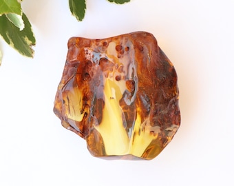 May include: A large, irregularly shaped piece of amber with a yellow and brown color. The amber has a translucent appearance and contains small air bubbles.