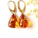 see more listings in the Amber earrings section