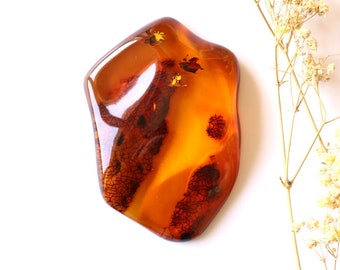 Large brown clear Baltic amber souvenir stone, gemstone for home decor spiritual stone, unique rare resin amber stone gift for nature lover