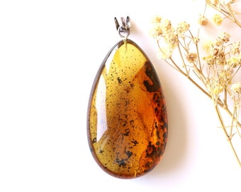 May include: A teardrop-shaped amber pendant with a silver bail. The amber is a deep golden color and has a small insect trapped inside.