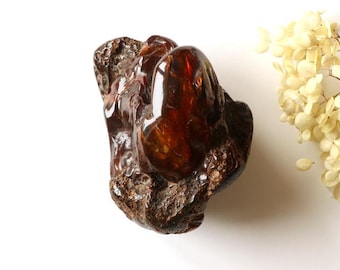 May include: A polished, dark amber gemstone with a rich, reddish-brown hue. The natural stone has a textured, organic shape and a glossy surface. Dried, cream-colored flowers are in the background.