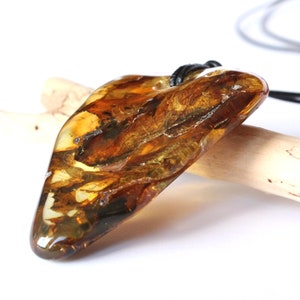 May include: A large, amber-coloured pendant with a dark brown, fossilised insect trapped inside. The pendant is attached to a black leather cord.