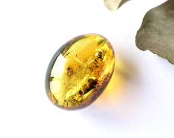 May include: A polished, oval-shaped amber stone with a translucent, golden-yellow hue. The amber contains visible inclusions and is set against a white background, with a green leaf in the upper right corner.