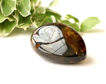 May include: A polished, teardrop-shaped amber stone with dark brown and golden hues. The stone reflects light, showcasing internal patterns and inclusions. Green and white leaves are in the background.