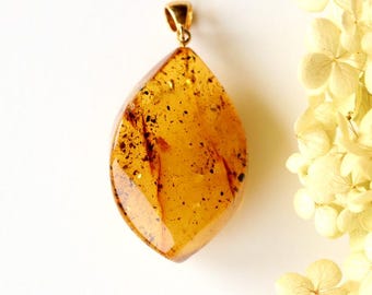 May include: A teardrop-shaped amber pendant with a gold bail. The amber is a deep honey color and has inclusions of plant matter.