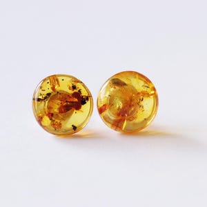Cognac Bernstein Ohrstecker, kleine Bernstein Ohrringe, Cognac Bernstein Perlen, echter baltischer Bernstein, Bernstein Ohrringe im minimalistischen Stil, Edelsteinohrringe