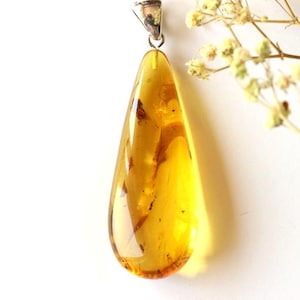 Pendentif en ambre de la Baltique avec insecte, pendentif en ambre naturel avec inclusion, pierre en résine avec insecte, pendentif en pierre précieuse en forme de goutte avec insecte, ambre