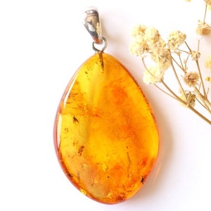 Pendentif en ambre couleur miel avec insecte, pendentif en ambre de la Baltique naturel avec inclusion, pierre précieuse en résine avec scarabée, pendentif insecte en forme de goutte