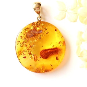 Op de afbeelding: Een ronde amber hanger met een zilveren beugel. De amber is een warme honingkleur met insluitsels van insecten en plantaardig materiaal.