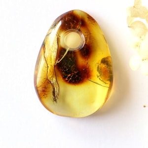 Pendentif en ambre de la Baltique de couleur citron avec insecte à l&#39;intérieur, pierre d&#39;ambre véritable avec inclusion, pendentif en ambre biologique avec trou, pendentif en ambre clair