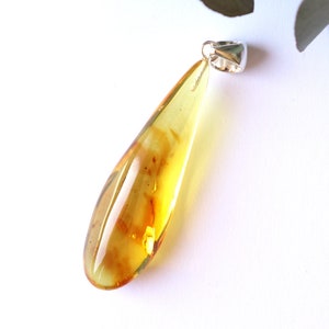 Pendentif en ambre goutte avec inclusion, bijoux en ambre naturel de la Baltique avec insecte, pendentif en ambre avec mouche, inclusion de pendentif en ambre en résine, cadeau en ambre