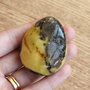 Unique teardrop yellow amber stone, raw natural gem stone, polished amber mineral stone, green amber bead, souvenir resin stone, home decor