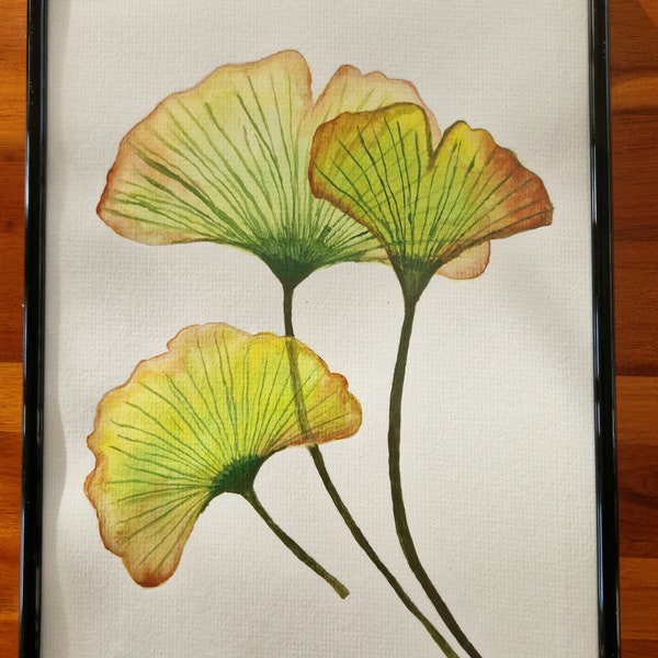 Ginkgo Aquarell