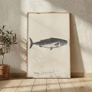 May include: A rectangular framed wall art print featuring a black and white illustration of a halibut fish centered on a light beige background. The word halibut is printed in small black lowercase letters at the bottom of the print.