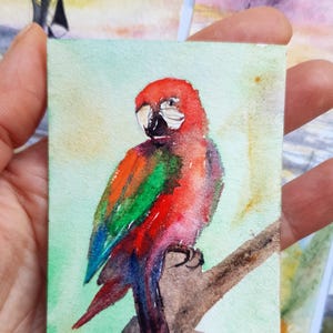 Pintura original de loro Ara, gran pájaro rojo colorido, obra de arte en acuarela, hermoso retrato de pájaro tropical del paraíso, tarjeta coleccionable de tamaño ACEO