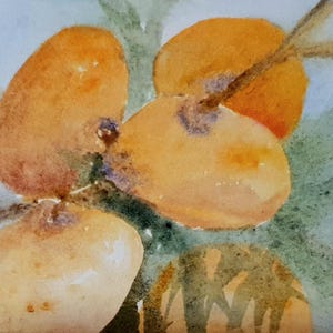 Mandarin painting original Clementine citrus watercolor botanical painting for home warming decor