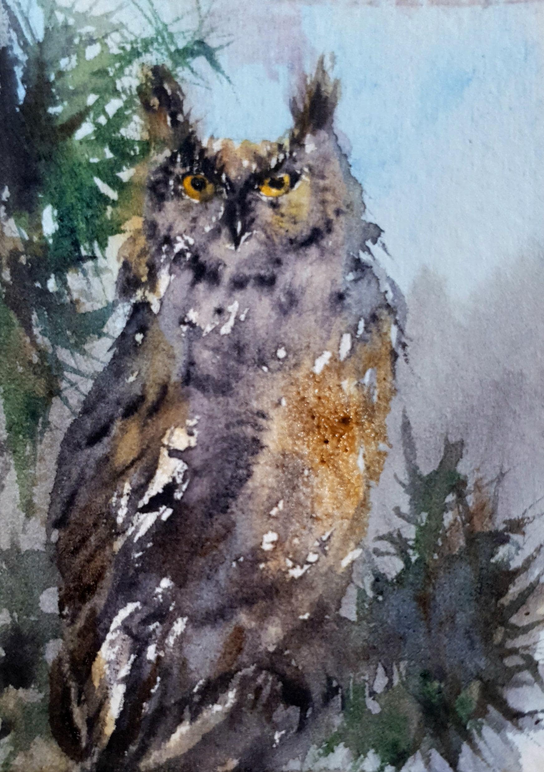 Owl portrait painting original ACEO watercolor of wild night forest bird collectable gift
