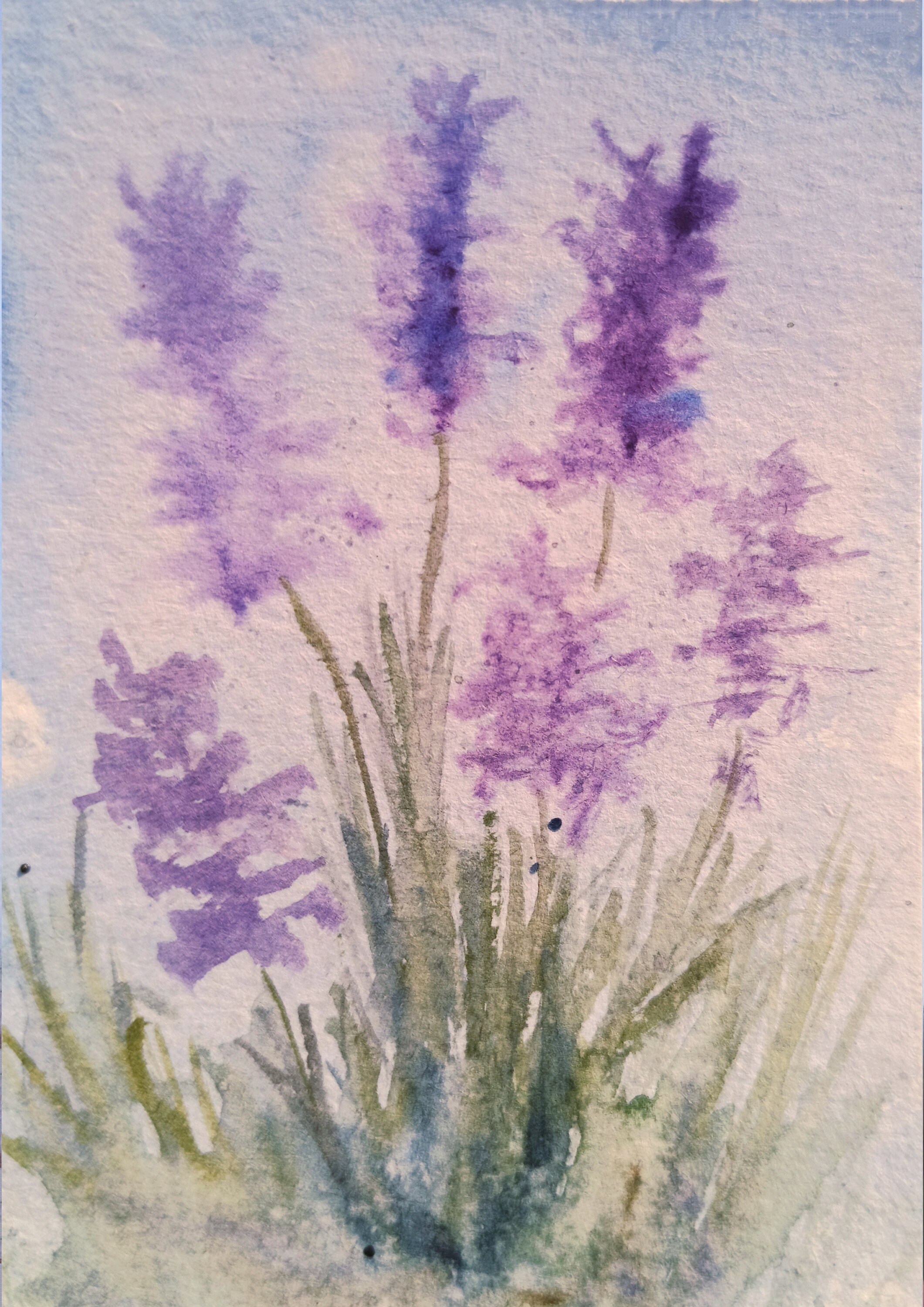 【2022正規激安】 Watercolor Lavender Field Bath Mat Provencal House Bathroom Rugs