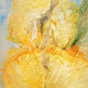 Iris painting original Yellow flower botanical watercolor painting Floral artwork gift for her