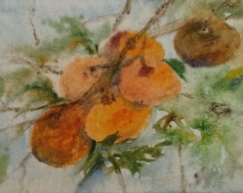 Mandarin painting original Clementine citrus watercolor botanical painting for home warming decor