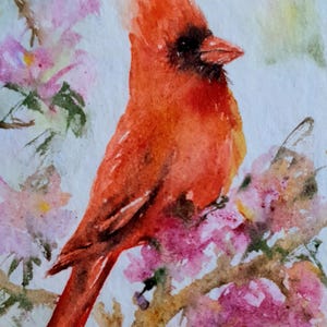 Roter Vogel Kardinal Malerei original Kleines Aquarell ACEO Größe mit Frühlingsgarten blühenden Baum und Vogel darauf