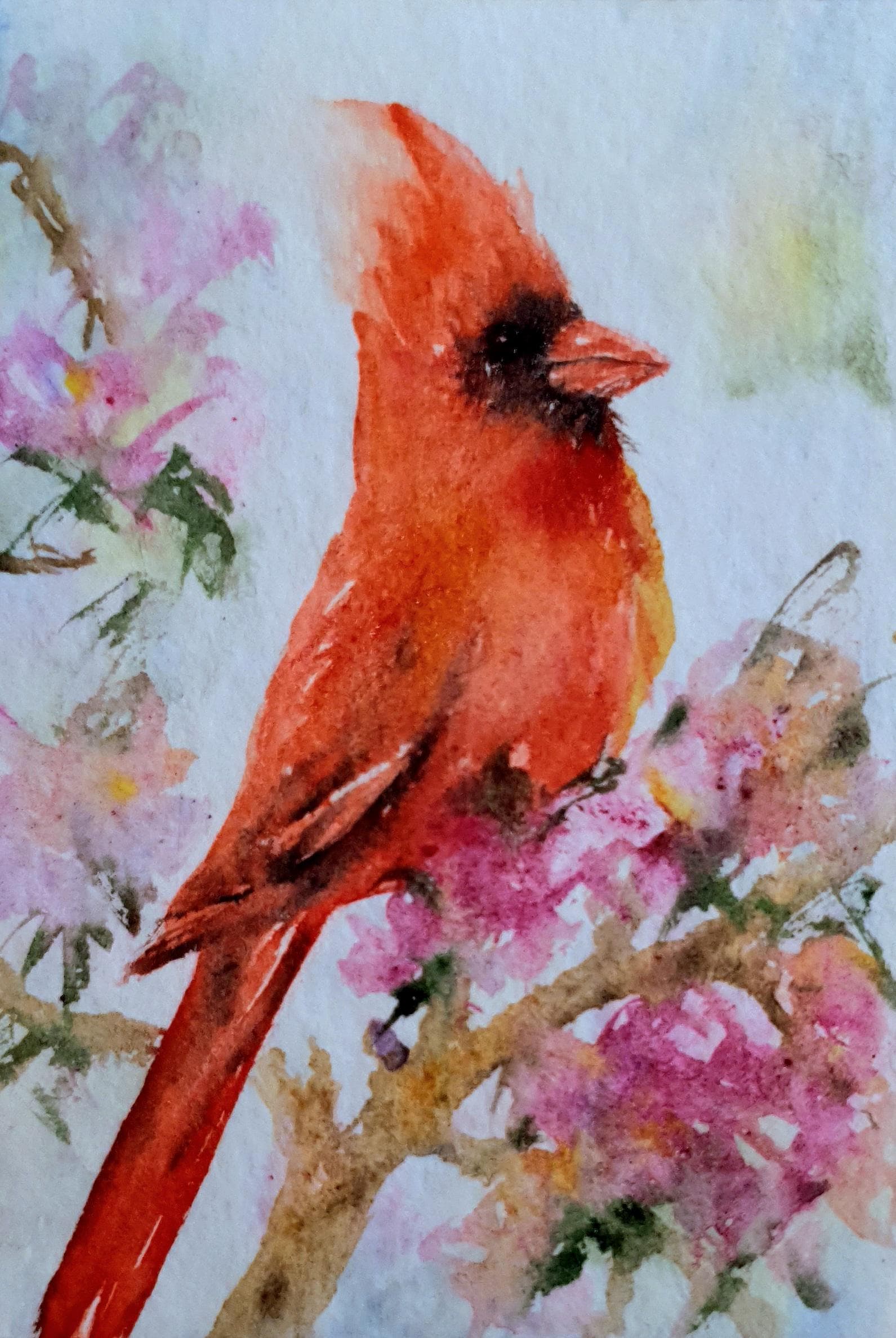 風景 油彩画 赤色フレーム 赤い鳥カーディナルの絵画オリジナル小さな水彩画ACEOサイズ春の庭の花
