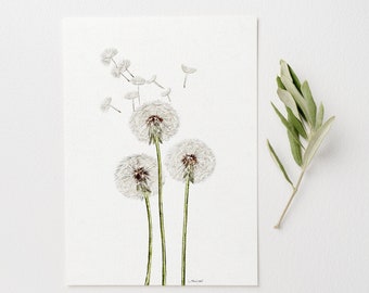 Impression d'art aquarelle pissenlit : illustration botanique de fleurs sauvages