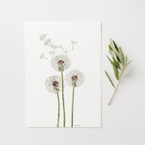 Impression d'art aquarelle pissenlit | Art mural botanique simple illustration numérique de fleurs sauvages | Affiche décorative fleur nature