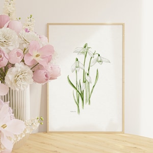 Impresión artística de acuarela de campanillas de invierno / Ilustración de flores para pared / Póster de decoración minimalista / Sin marco A4 A3