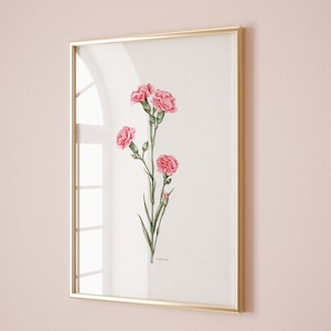 Impresión artística de acuarela de claveles rosados / Arte mural con ilustración de flores / Póster minimalista para decoración del hogar / Sin marco A4 A3 / Arte floral