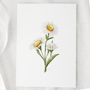 Daisies Watercolour Art Print: Floral Illustration, Unframed