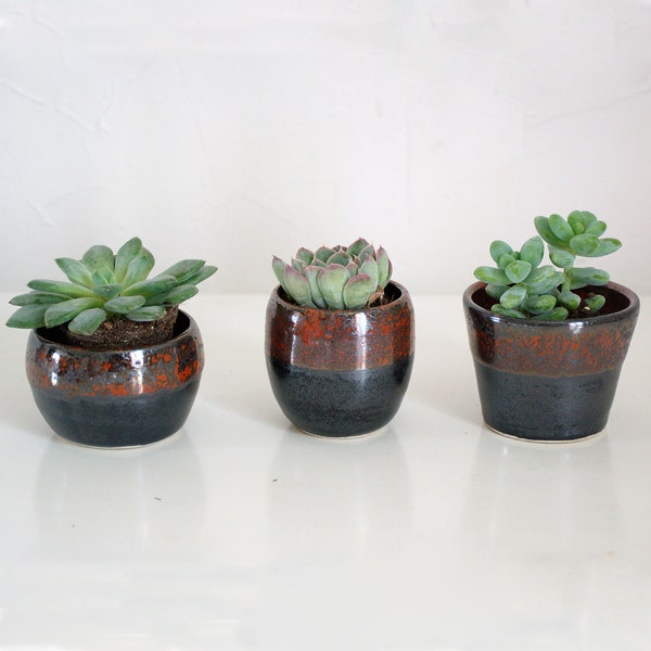 Ensemble de trois pots pour petites plantes rouges et noir