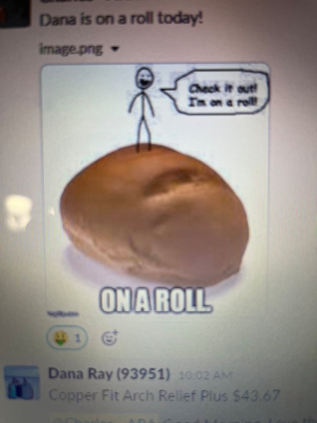 Animaniacs Oc Commissions Etsy