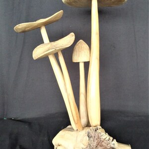 Peut inclure: Une sculpture en bois de trois champignons de différentes tailles et formes. Les champignons sont sculptés dans une seule pièce de bois et ont une finition naturelle et rustique.