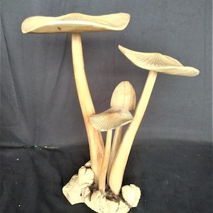 Wooden mushrooms, carved wooden mushroom, hand carved, carvings, unique figurine, office décor,Parasite wood, Jempenis