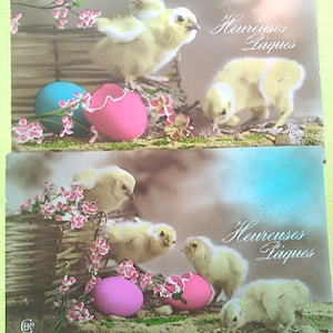 Set van twee mooie paaskaarten met kuikentjes en mand met paaseieren. postcard met bloemen. Kleurrijke kaarten van het merk Ceko. Pasen