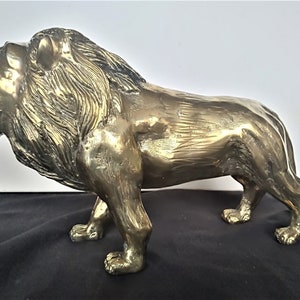 Beeld van een glanzend goud gepatineerd bronzen brullende leeuw - De koning van de jungle in zijn volle ornaat. Mooi glanzend geblonken