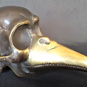 Bronze beak figure of the Dayak from Borneo. Mythical half human half bird figure for rituals. Brass - Bronze head with shiny beak. S