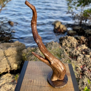 Driftwood Sculpture (Elefante)