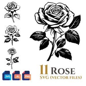 11 Rose Flower SVG Vector Clipart Bundle, sfondo trasparente, download digitale file SVG, PNG, uso commerciale