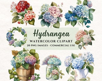 20 flores de hortensia en acuarela, PNG transparente, paquete de ramos florales de verano, alta resolución, descarga instantánea, uso comercial