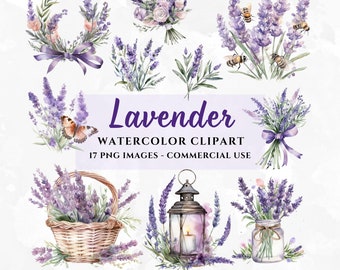 17 flores de lavanda en acuarela, PNG transparente, paquete de ramos florales de verano, alta resolución, descarga instantánea, uso comercial
