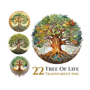 22 Tree Of Life Clipart Bundle, Transparent Background, Digital Download PNG Files, For Commercial Use
