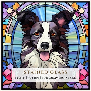 May include: A stained glass illustration of a black and white border collie dog with a pink tongue sticking out. The dog is surrounded by a stained glass design of flowers and a blue sky. The text "STAINED GLASS 12"X12" | 300 DPI | FOR COMMERCIAL USE" is at the bottom of the image.