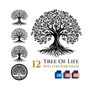 12 Baum des Lebens svg Vektor-Clipart-Bundle, transparenter Hintergrund, sofortiger digitaler Download SVG, AI, PNG-Dateien, kommerzielle Nutzung